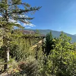 Uria